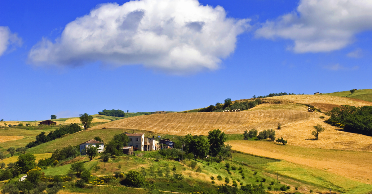Sopralluoghi aziende agricole partner