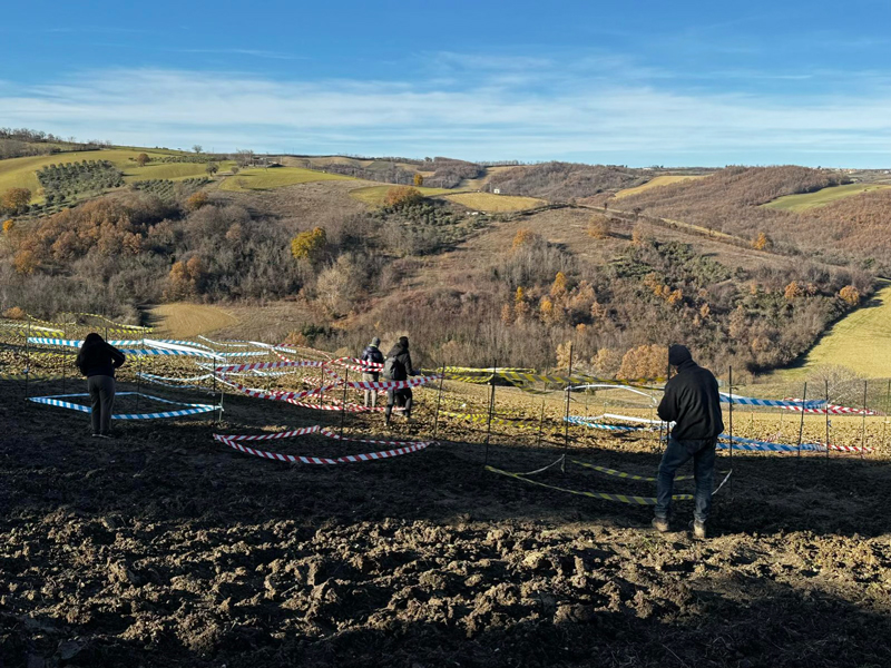 Selezione plot biochar